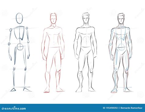 cuerpo dibujo|boceto cuerpo humano.